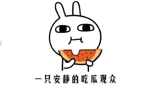 今天吃瓜是什么意思,网络热词背后的文化现象